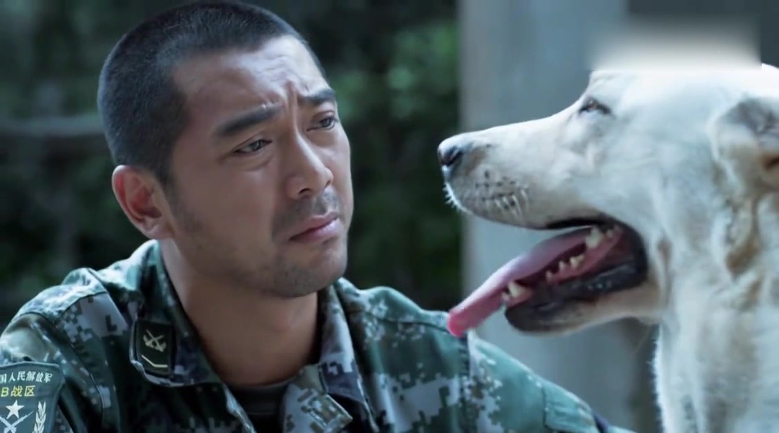 神犬奇兵：步枪失踪了，小米为了等它，宁愿从军犬变成一条看门犬