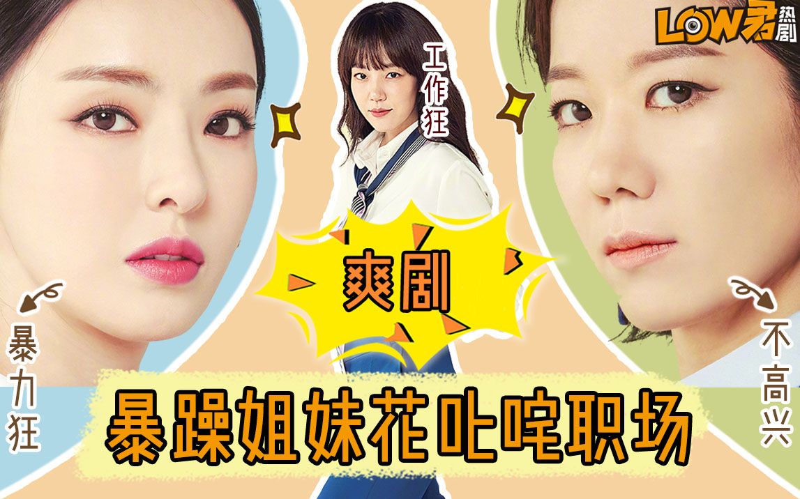 【low君】解说韩剧《请输入关键词:WWW》：你想看的职场女性群像和甜甜的恋爱它都有！