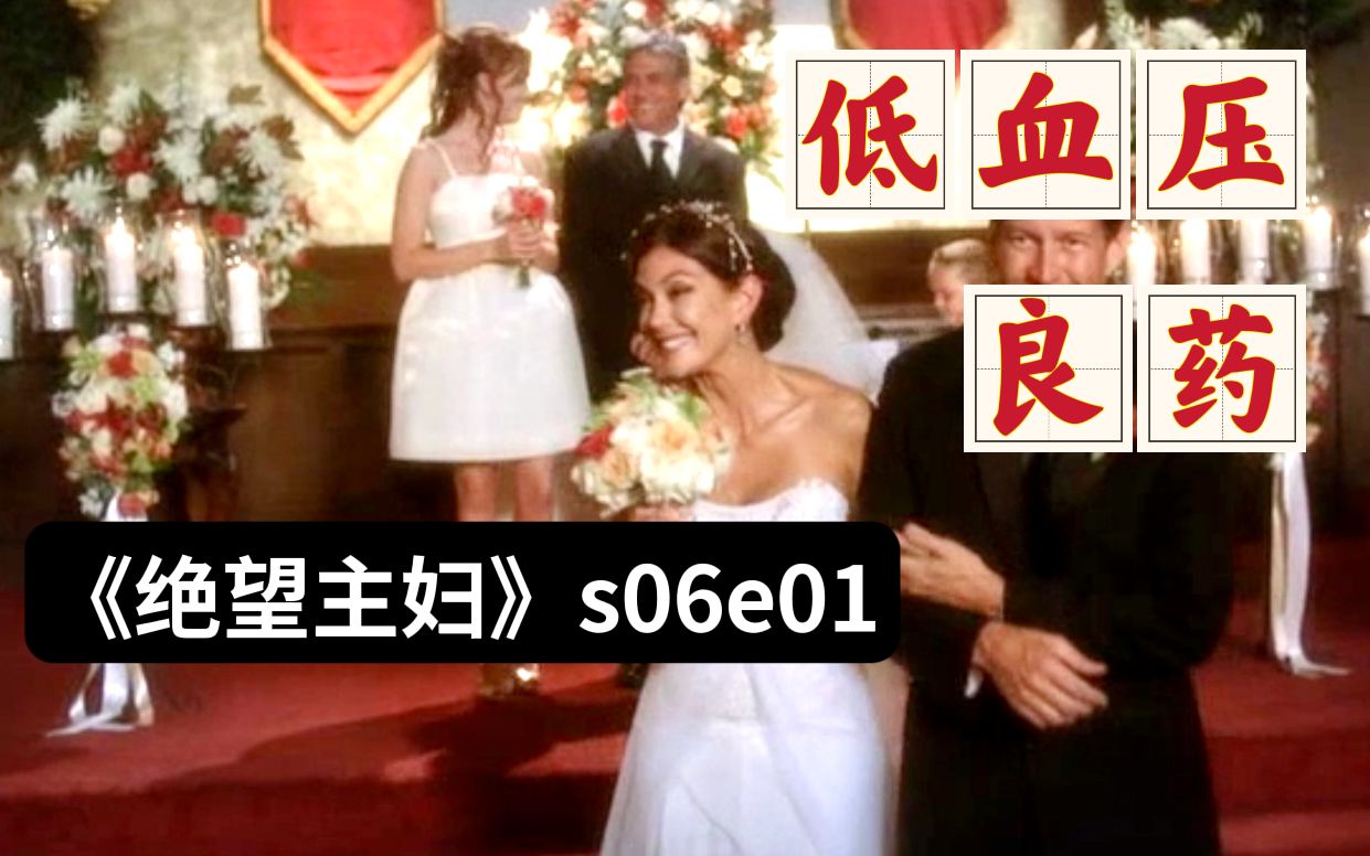【和平】《绝望主妇》第六季第1集 谢谢你们治好了我多年的低压