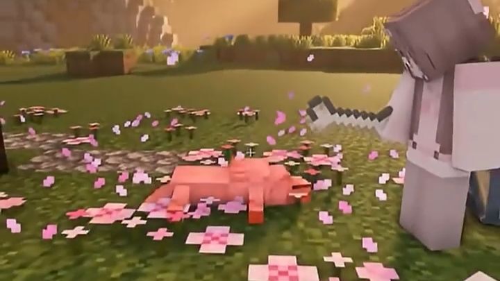 朋友：你难道感受不到这个世界的美好吗