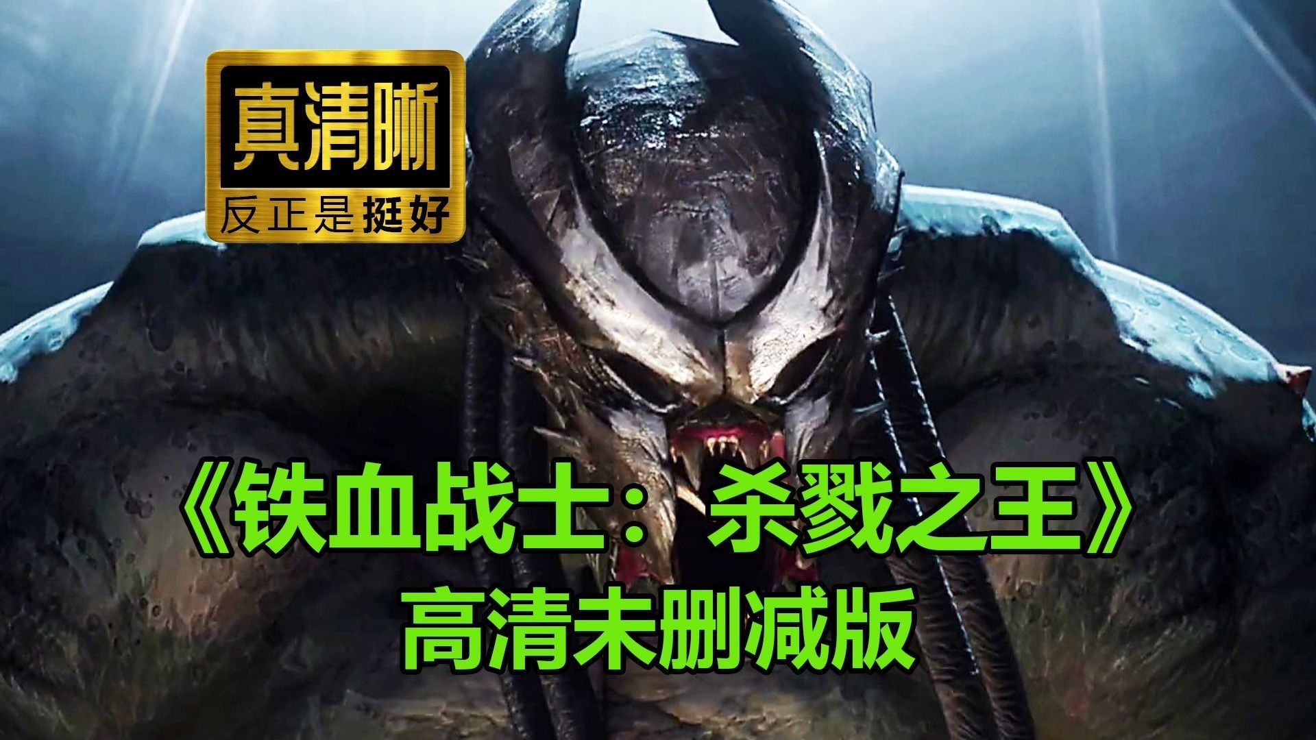铁血战士：杀戮之王（2025）