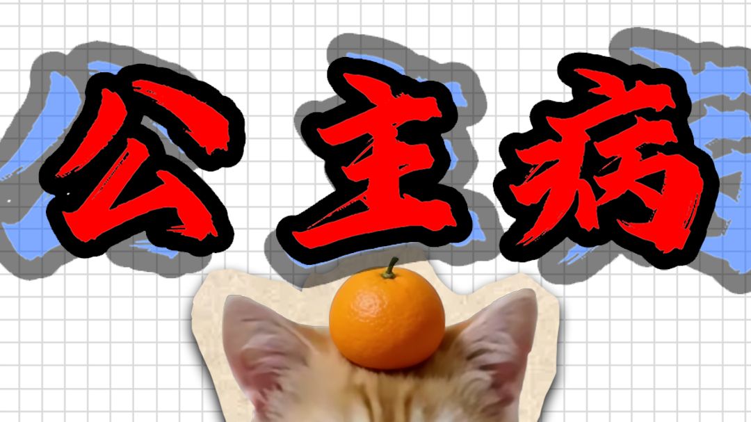 什么是公主病