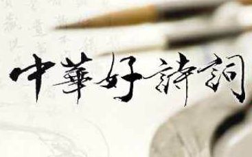 【中华好诗词】1~5季+特别节目【216集全】