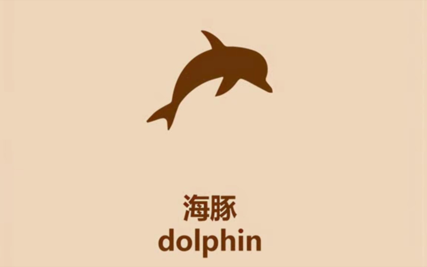 一分钟认识海豚
