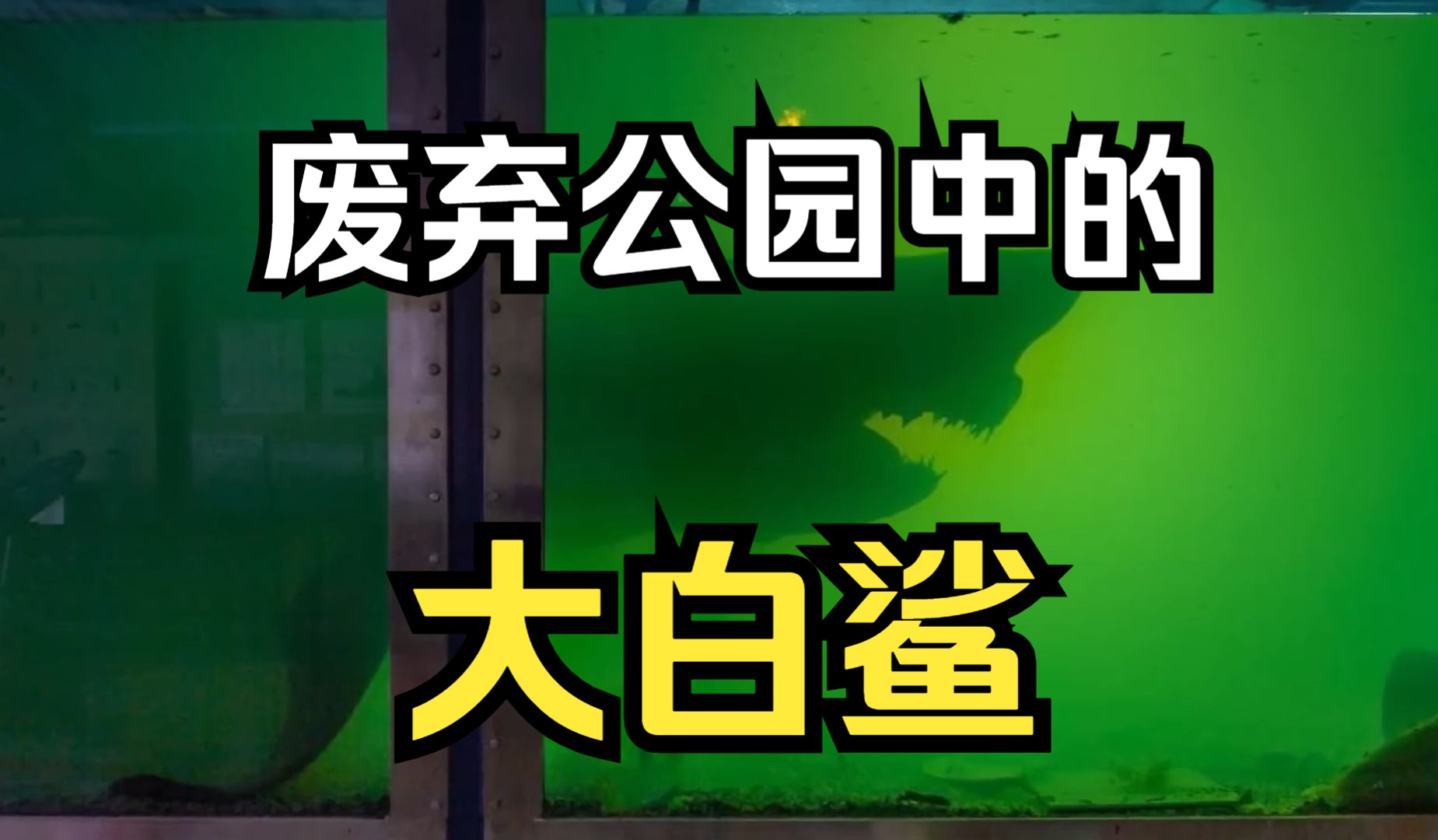 墨尔本废弃动公园大白鲨的恐怖景象，都市传说