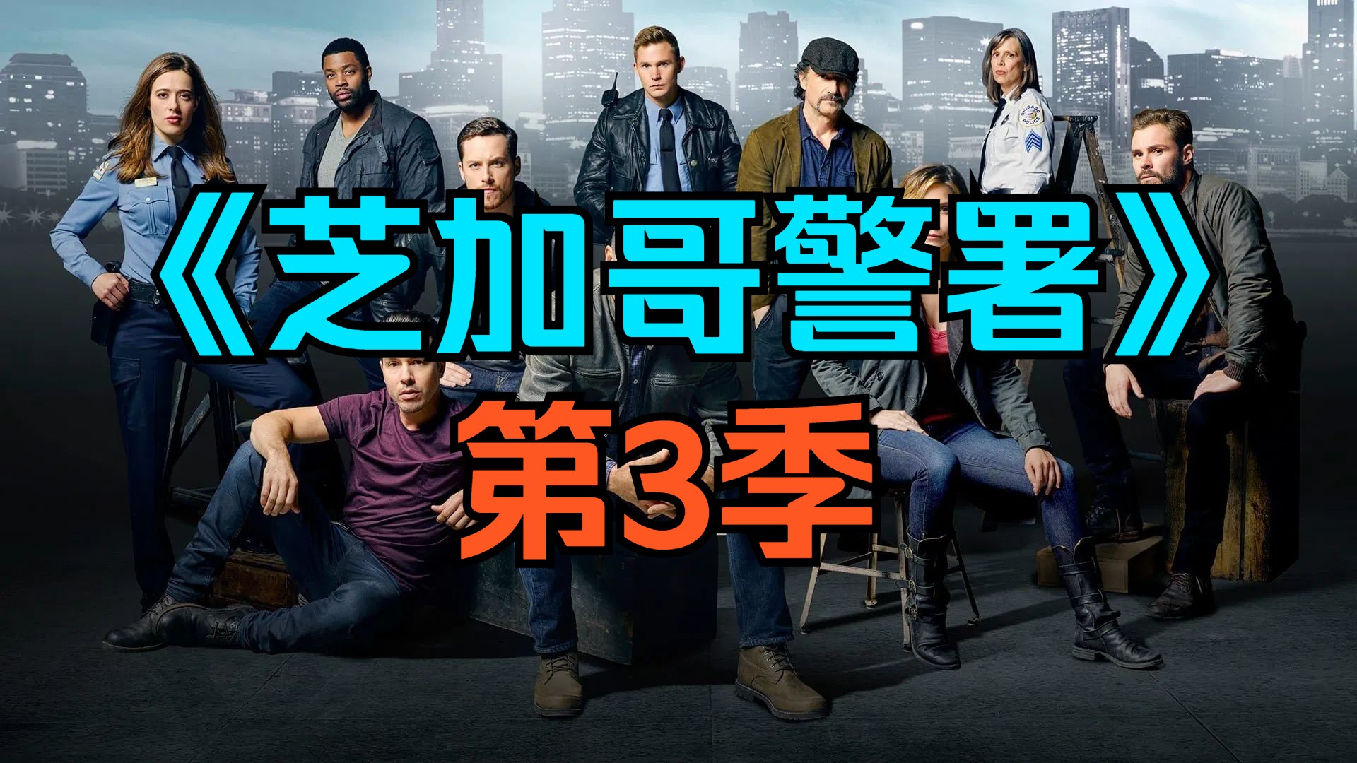 [电视剧] 美剧《芝加哥警署》第3季「共23集」