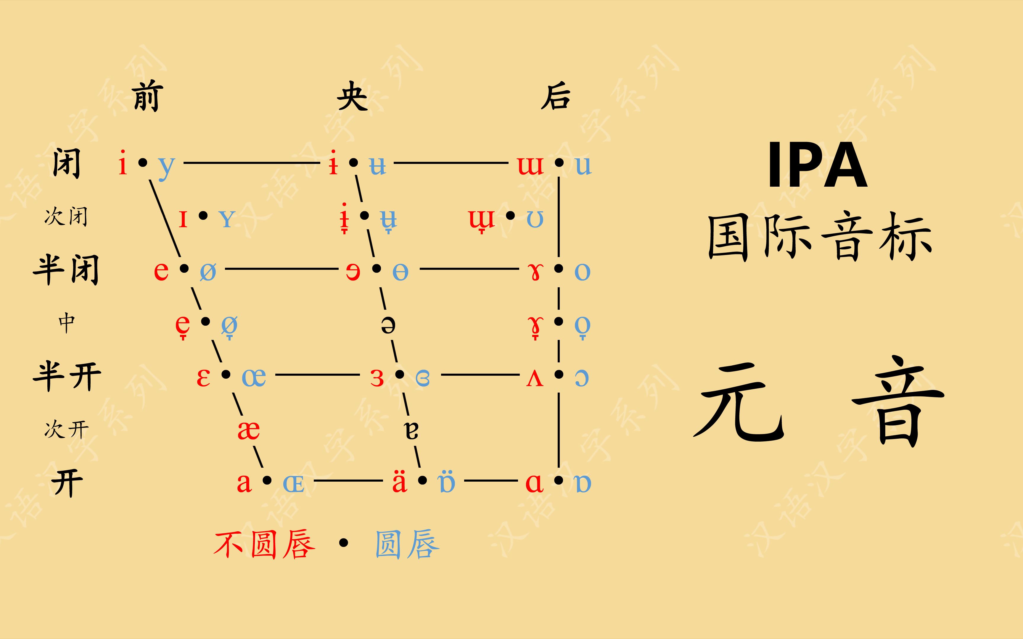 国际音标（IPA）——元音