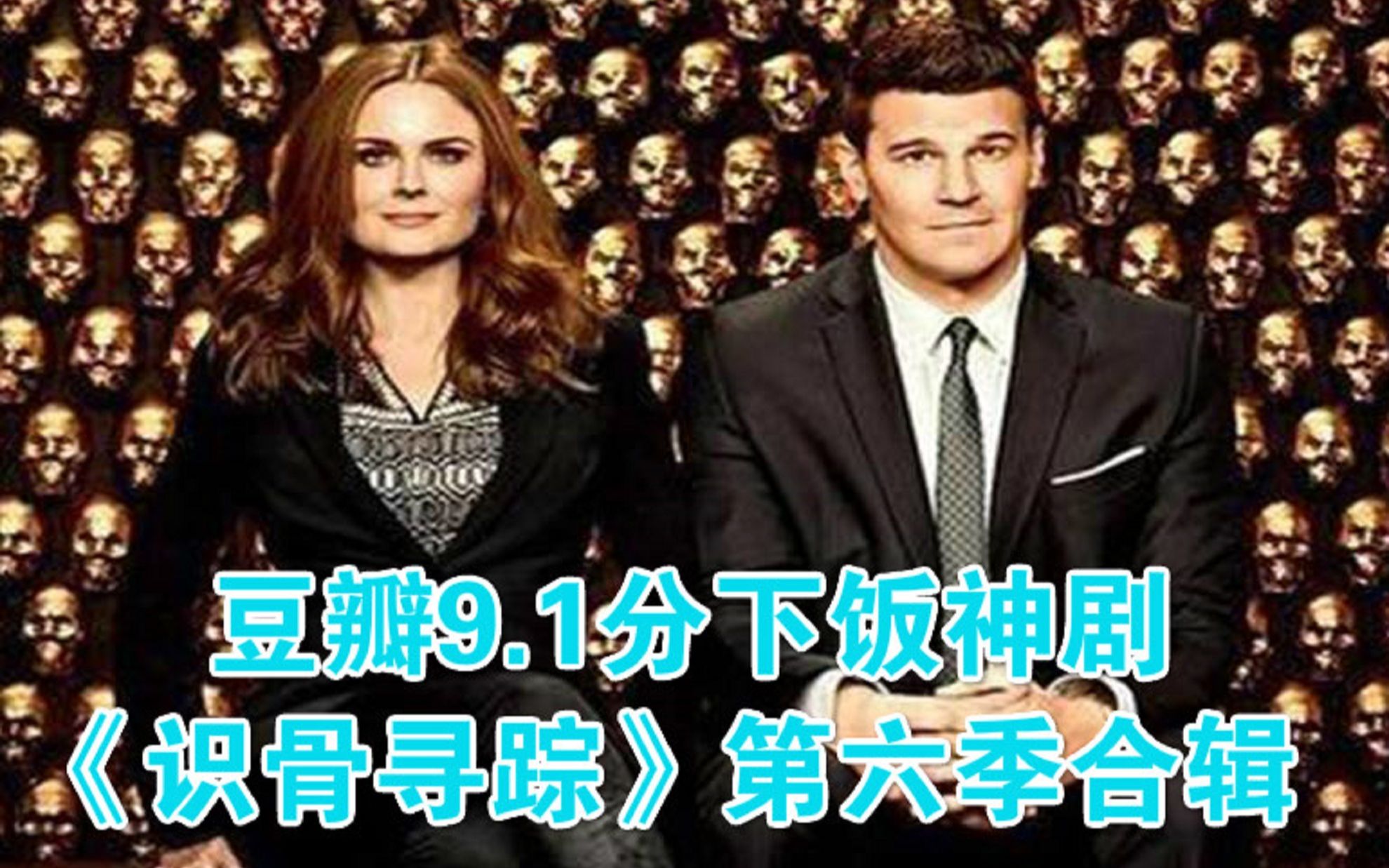 豆瓣9.1分下饭神剧，识骨寻踪第六季解说合辑《哈士奇解说版》