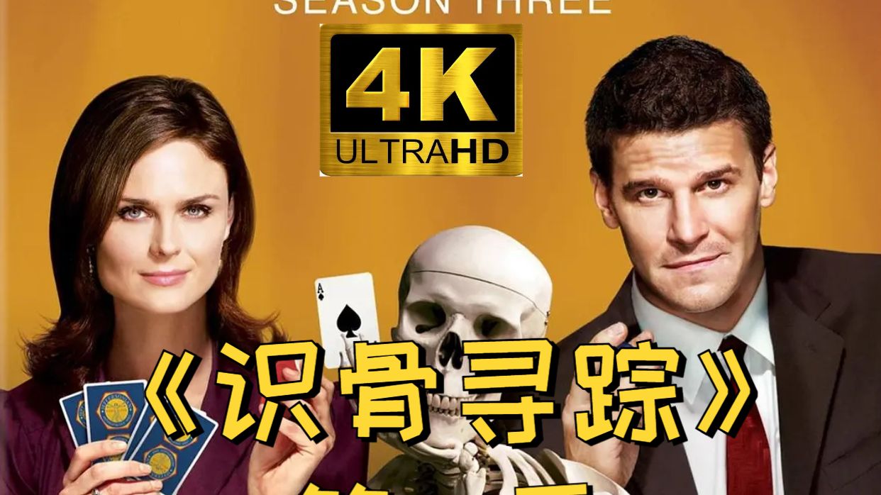 【4K珍藏版】《识骨寻踪》Bones Season 第三季 全15集 双语字幕