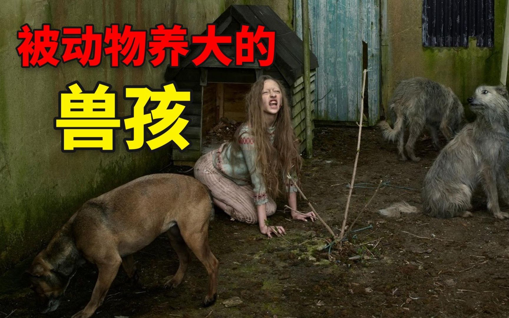 被动物抚养长大的5个野孩子，他们经历了怎样的悲惨人生？