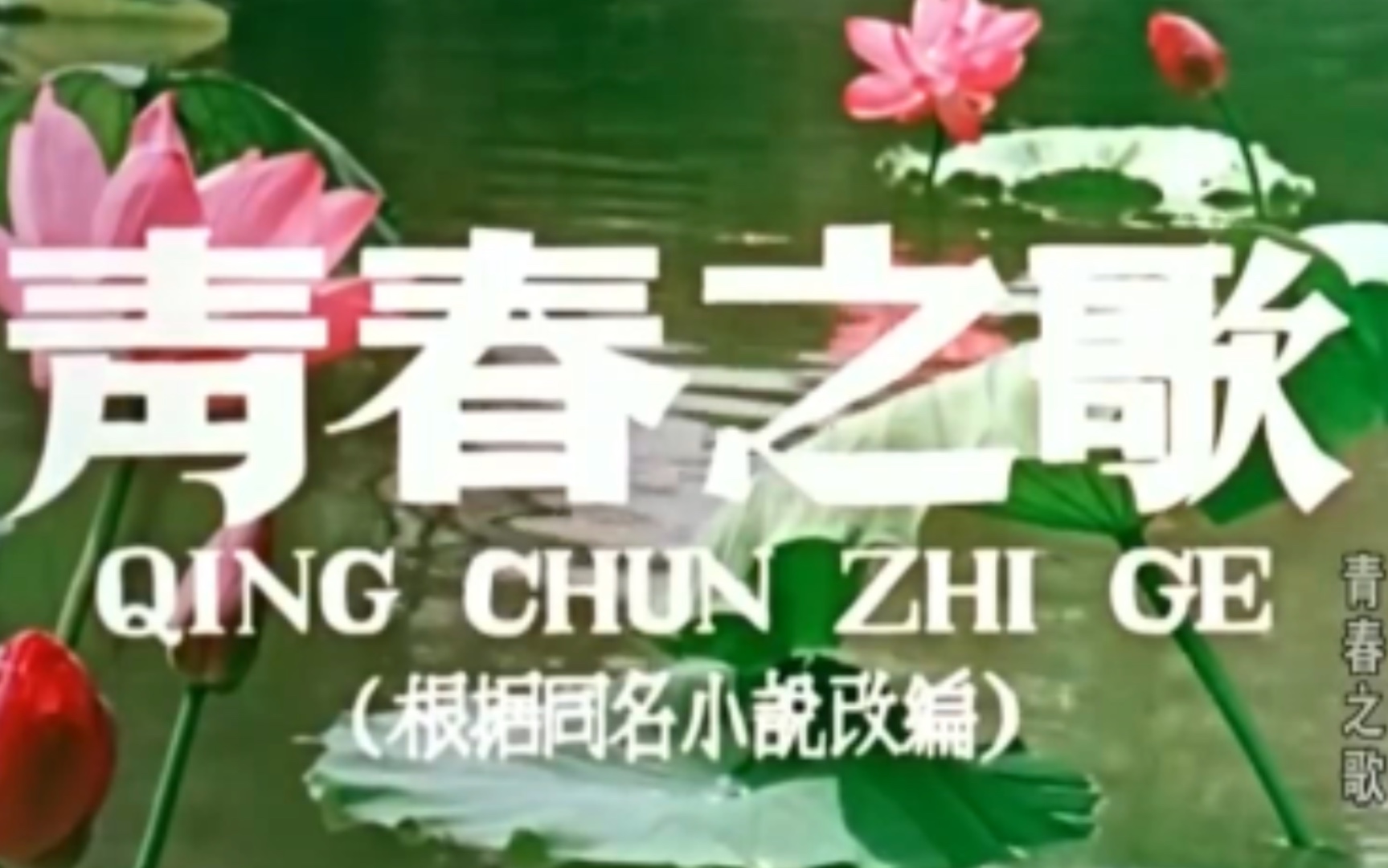 【影视解说】摆脱冷气罢！青年！《青春之歌》解说