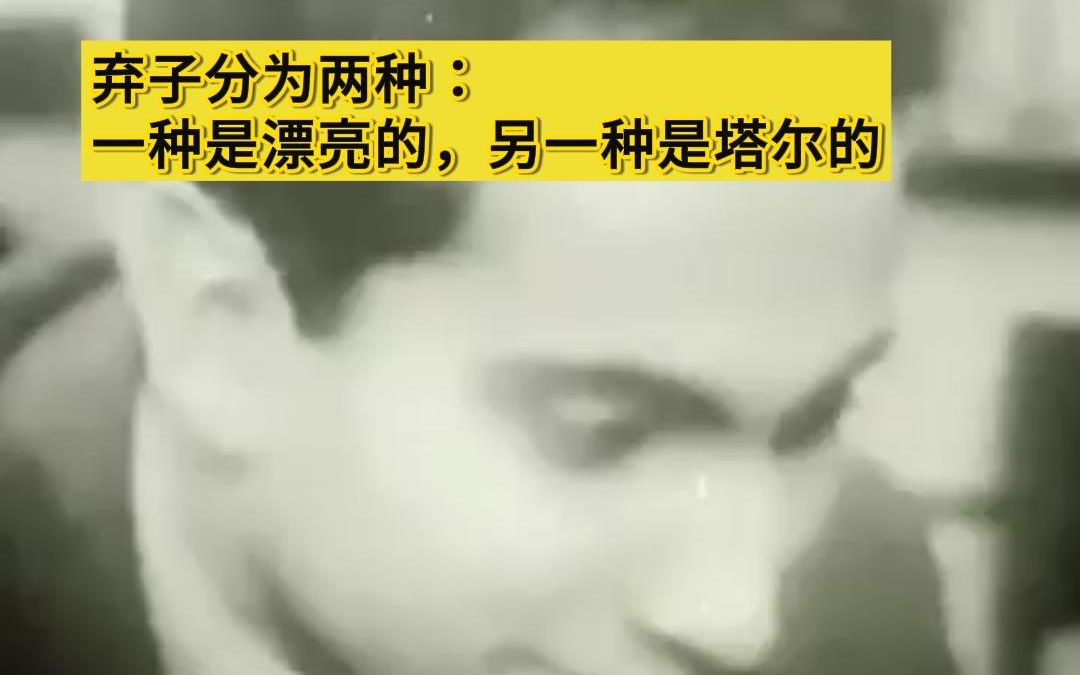 魔术师-米哈伊尔·塔尔（Mikhail Tal）金句和自述珍贵镜头 | 名场面
