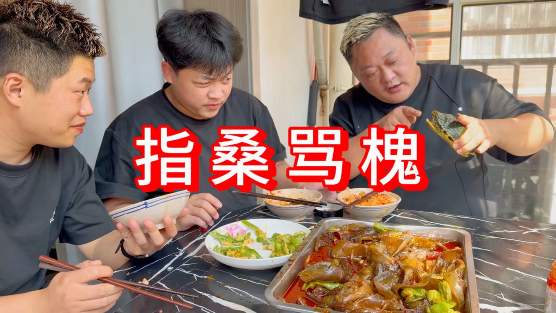 儿子学习压力大，对着胖龙发火，胖龙用自己养的乌龟指桑骂槐，太有意思