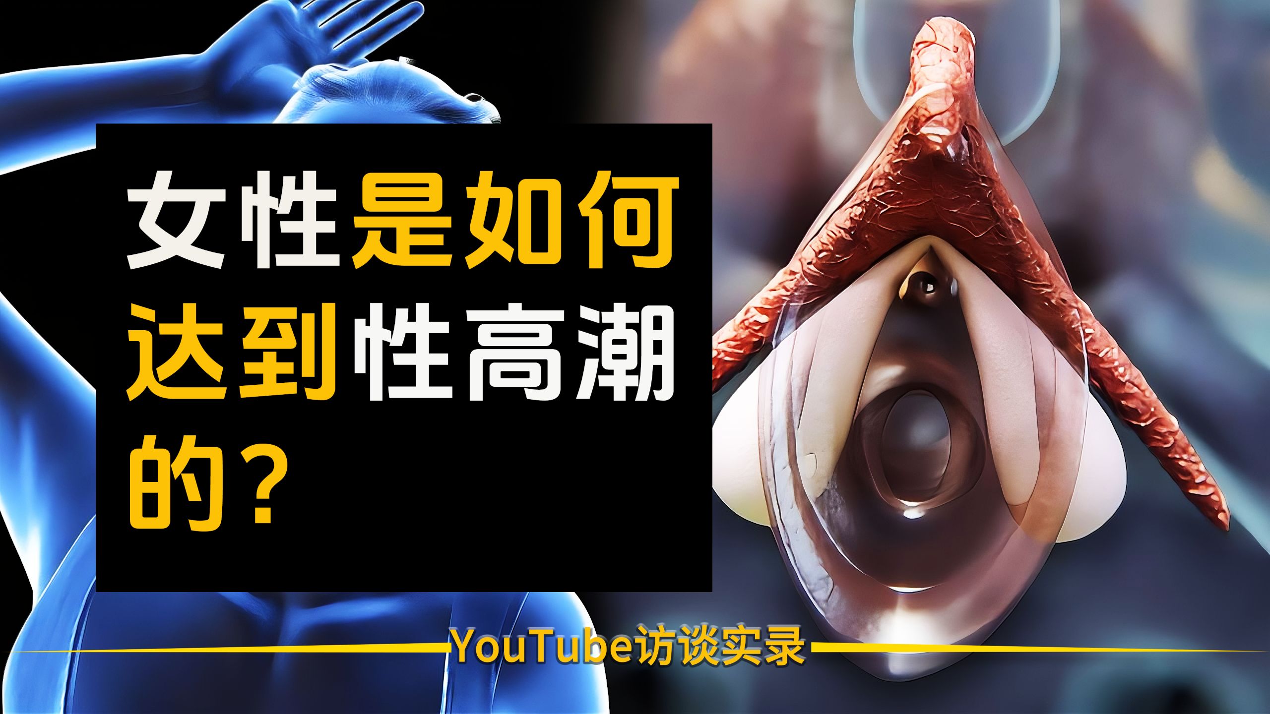 【科普】女性性高潮是通过对女性乳房、阴蒂的刺激及对女性的关怀，达到身心上的满足的复杂过程|（双语音）