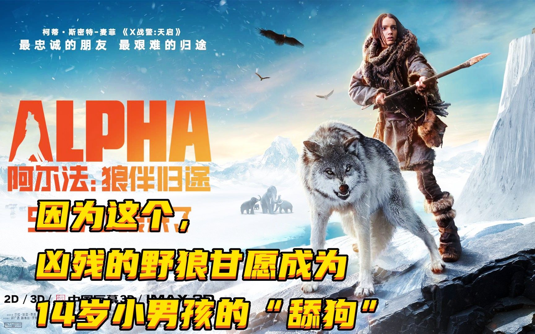 从悬崖惊醒到跪倒家门口，这个14岁的小男孩究竟经历了什么？