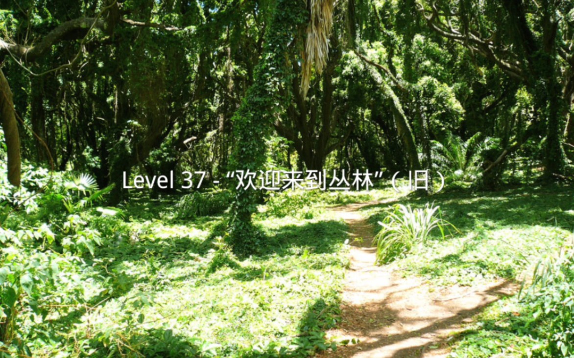 Level 37 - “欢迎来到丛林”（旧）