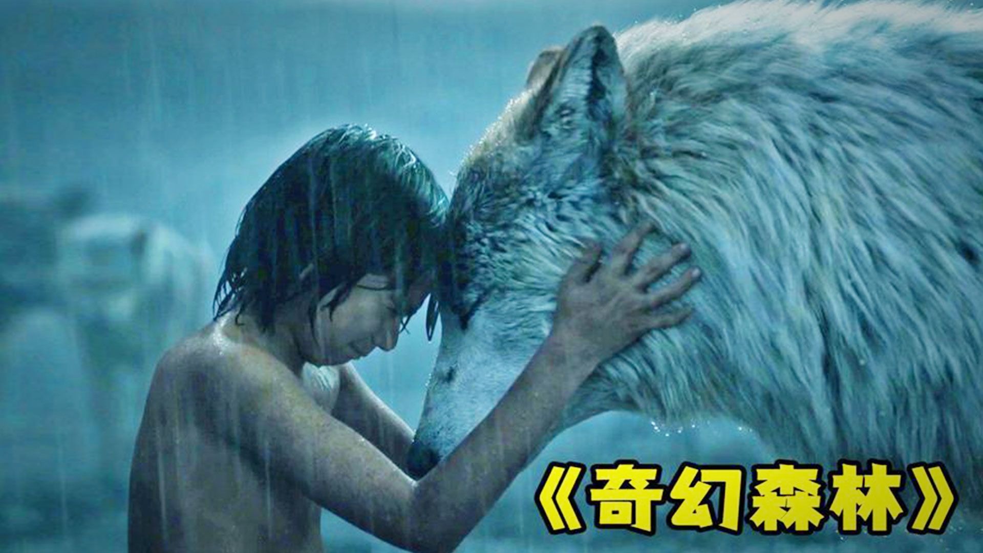 男孩误入奇幻森林，靠人类的智慧对抗猛兽，奇幻片
