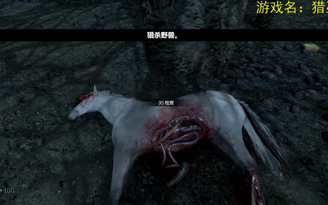 煮酒：Witch hunt（猎巫）速通攻略