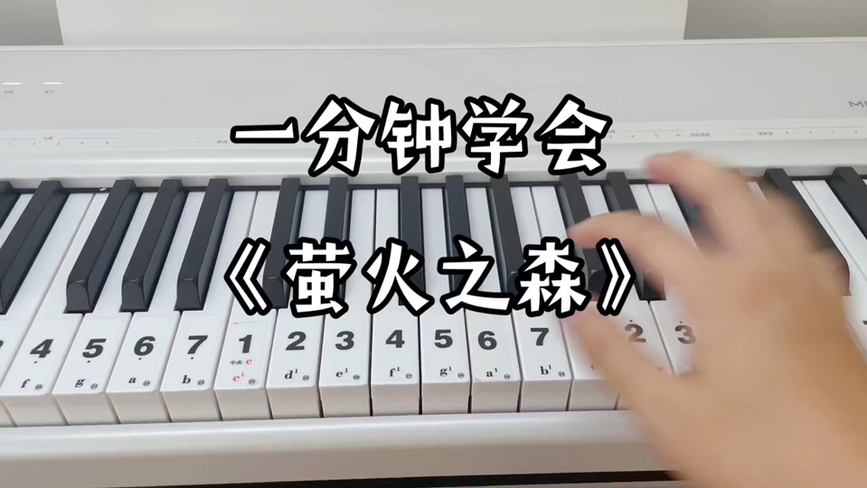 一分钟学会《萤火之森》，谱子在视频最后！