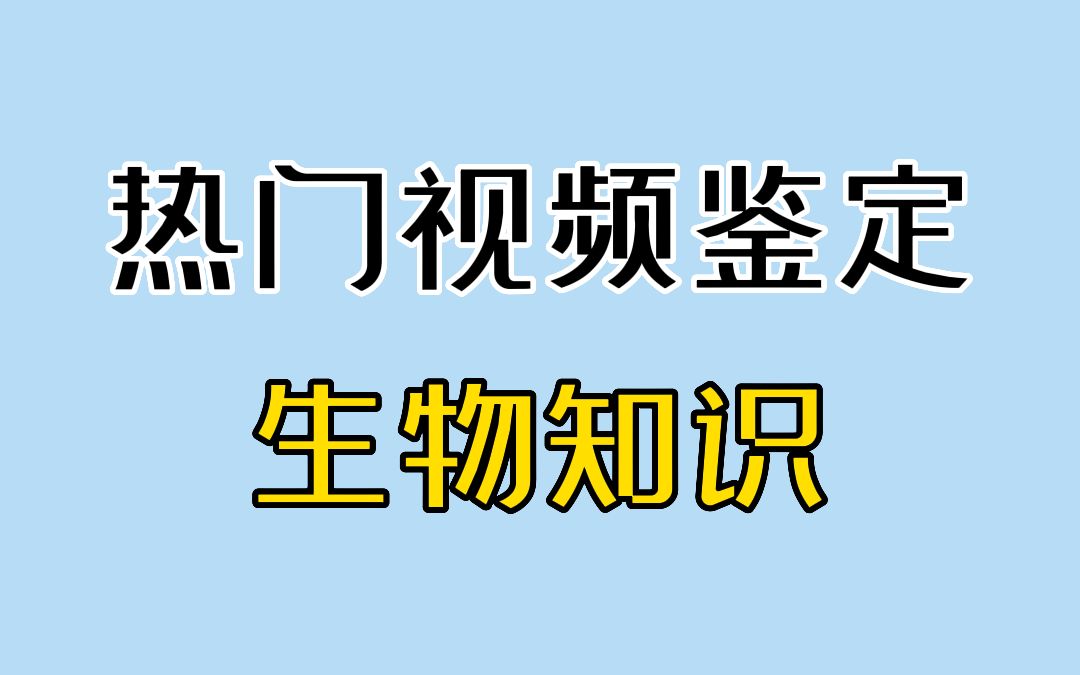 停在空中的鸟，难道卡bug了？【热门生物视频鉴定】