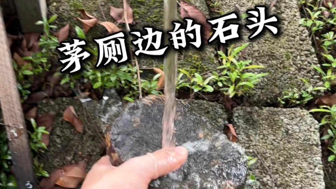 茅厕边的捡的石头，有点像翡翠原石，噶了它