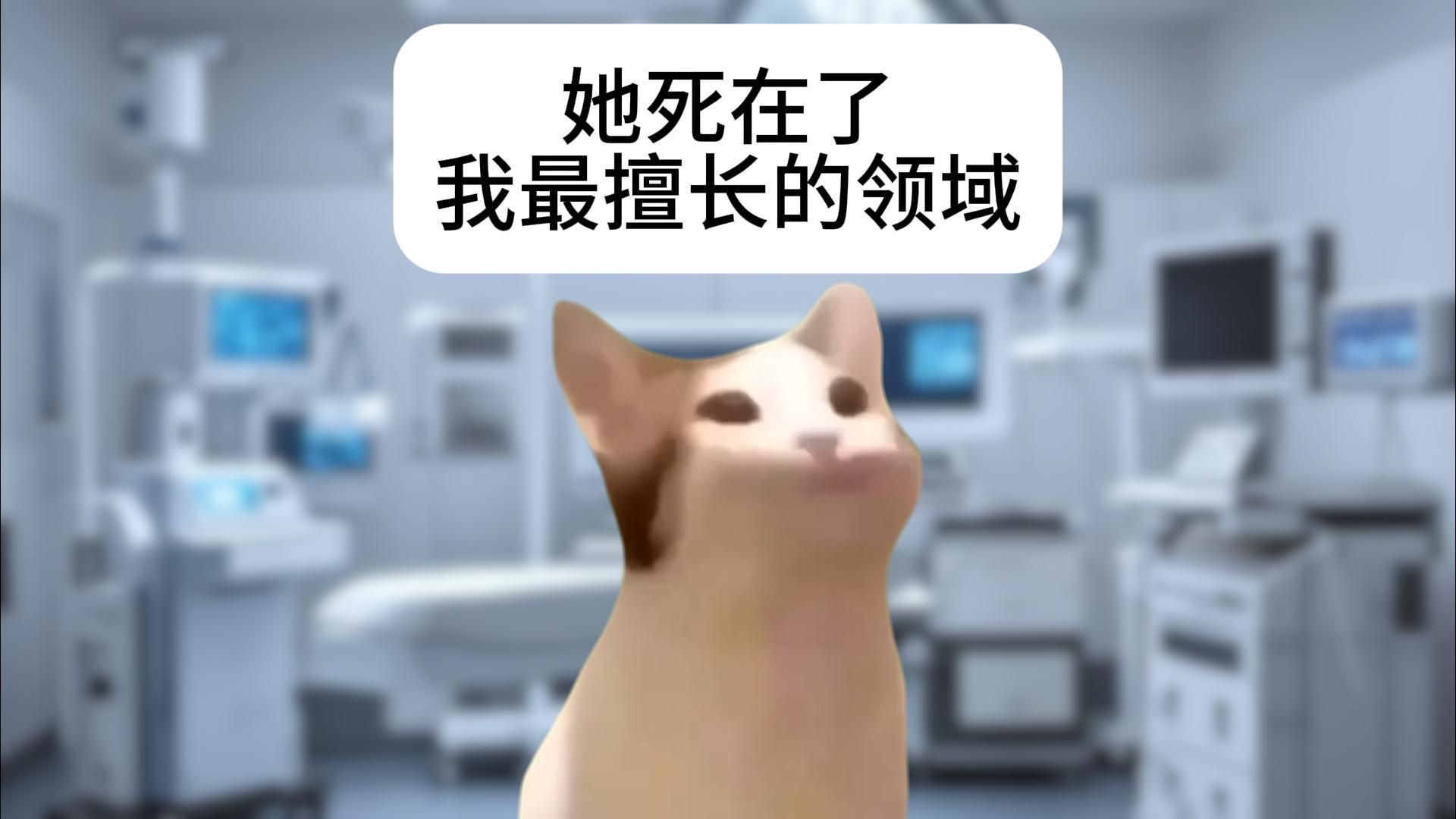 她死在了我最擅长的领域