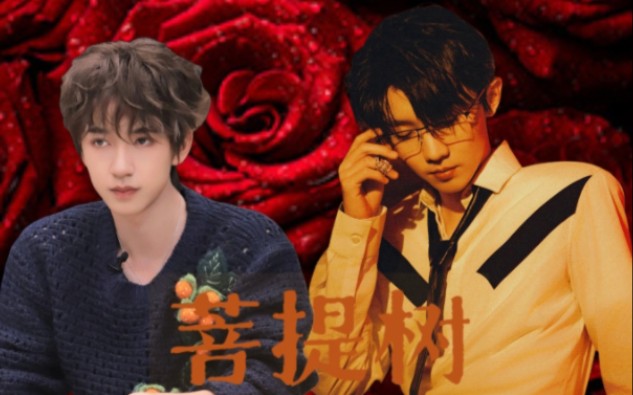 我跪在菩提树下祈祷＂你还爱我”来不及了