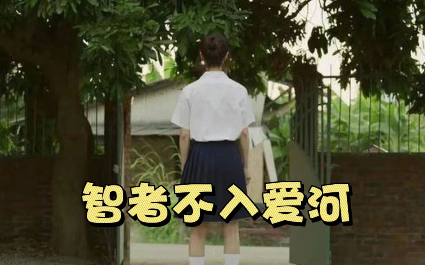 智者不入爱河，愚者为情所困