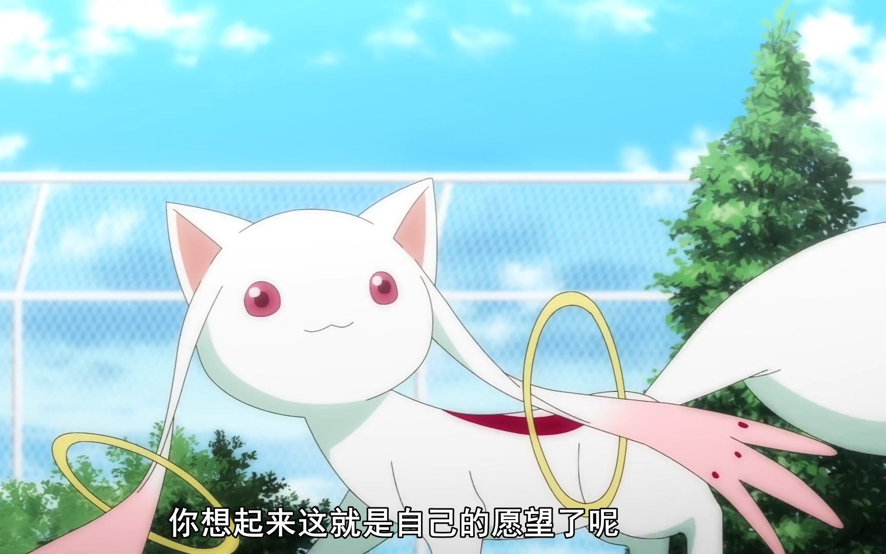 【1月】魔法纪录 魔法少女小圆外传 PV