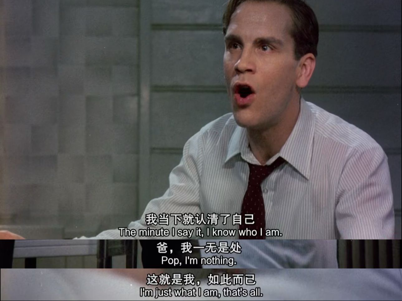 我很普通，这就是我，仅此而已。I'm nothing，I'm just what I am,that's all.