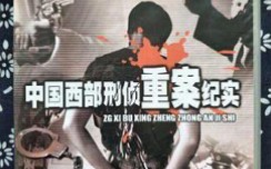 《中国西部刑侦重案纪实》全集（360p）