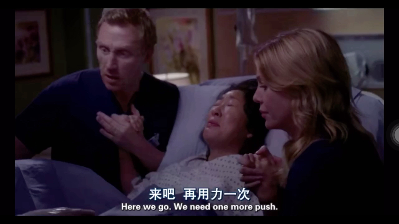 Dr Yang怀孕《实习医生格蕾》