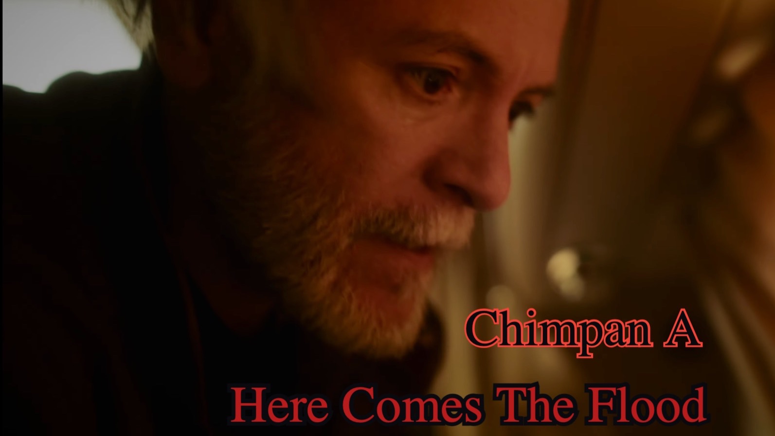 20250411| Chimpan A - Here Comes The Flood