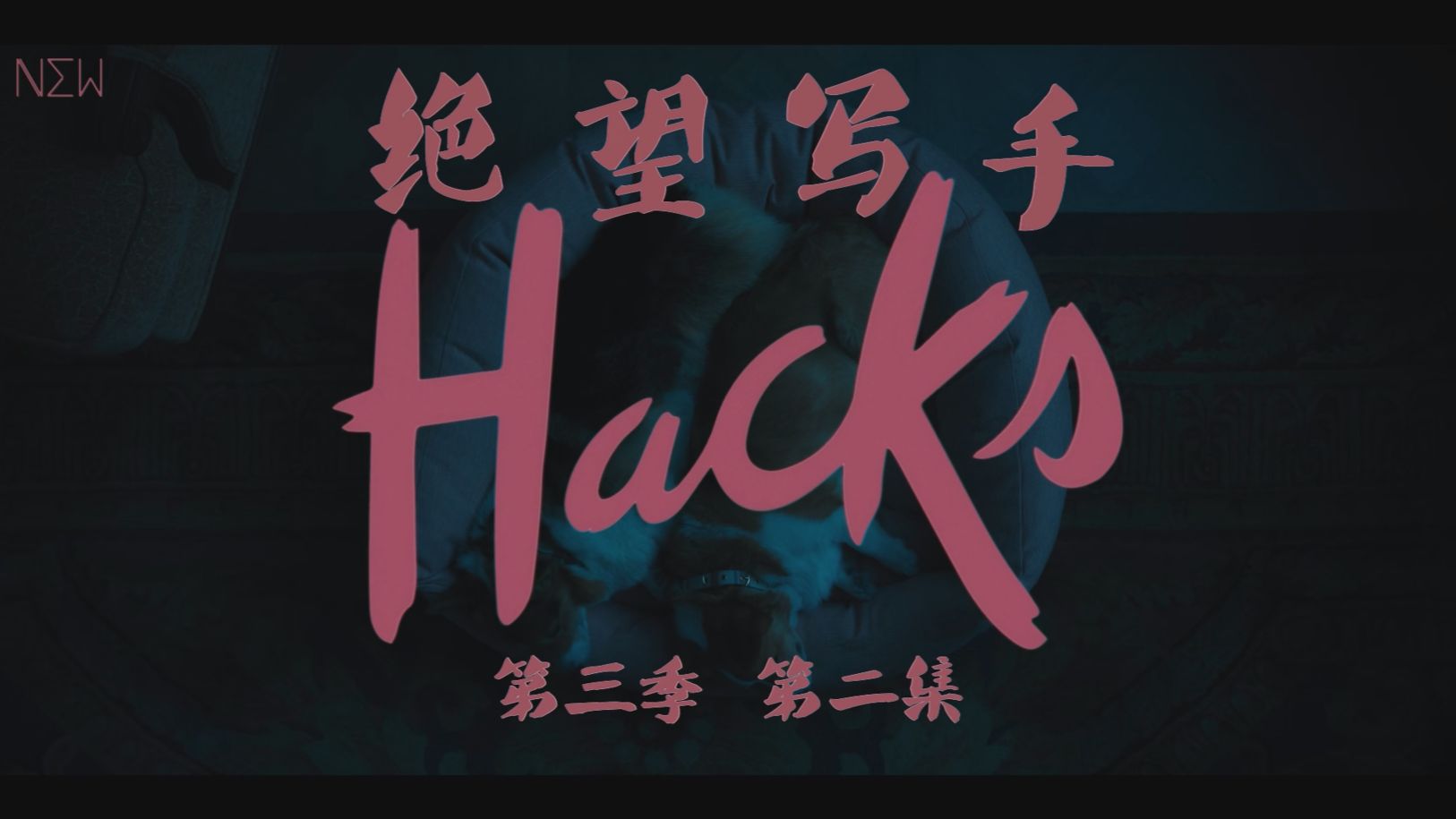 【NEW自译|剧集】绝望写手/Hacks S03E02 【为时不晚】