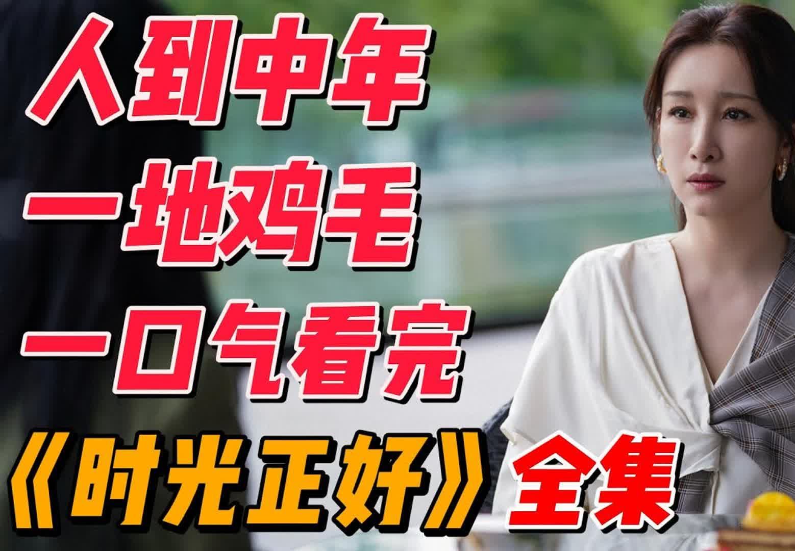 一口气看完《时光正好》（完整版），人到中年一地鸡毛