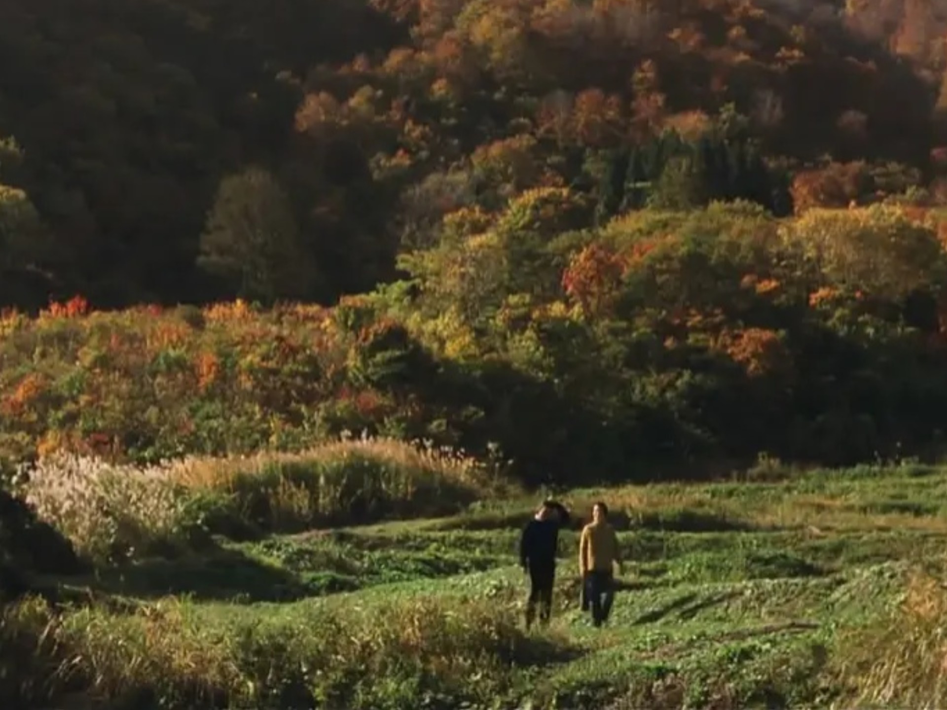【日本】阿弥陀堂讯息（2002）豆瓣8.4