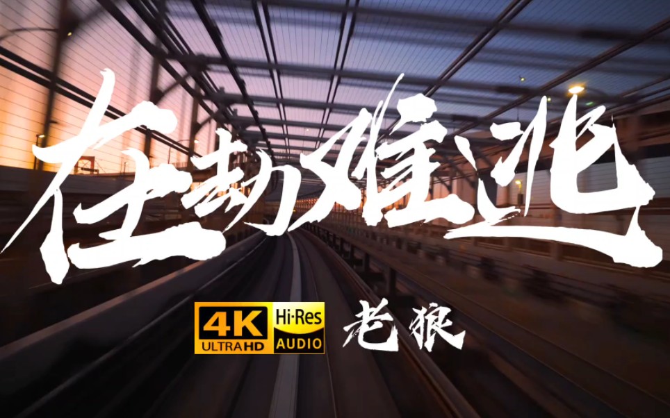 白天虎口脱险，晚上在劫难逃《在劫难逃》老狼