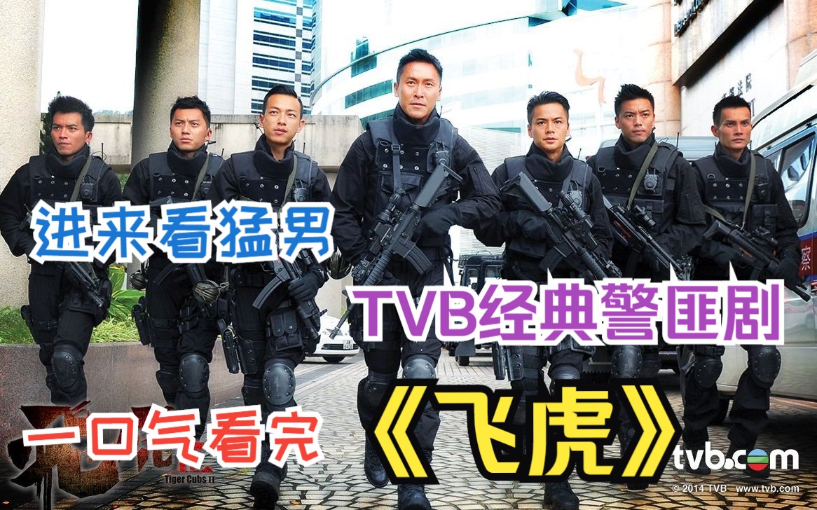 满屏的猛男，爱了爱了，TVB经典警匪剧，一口气看完《飞虎》