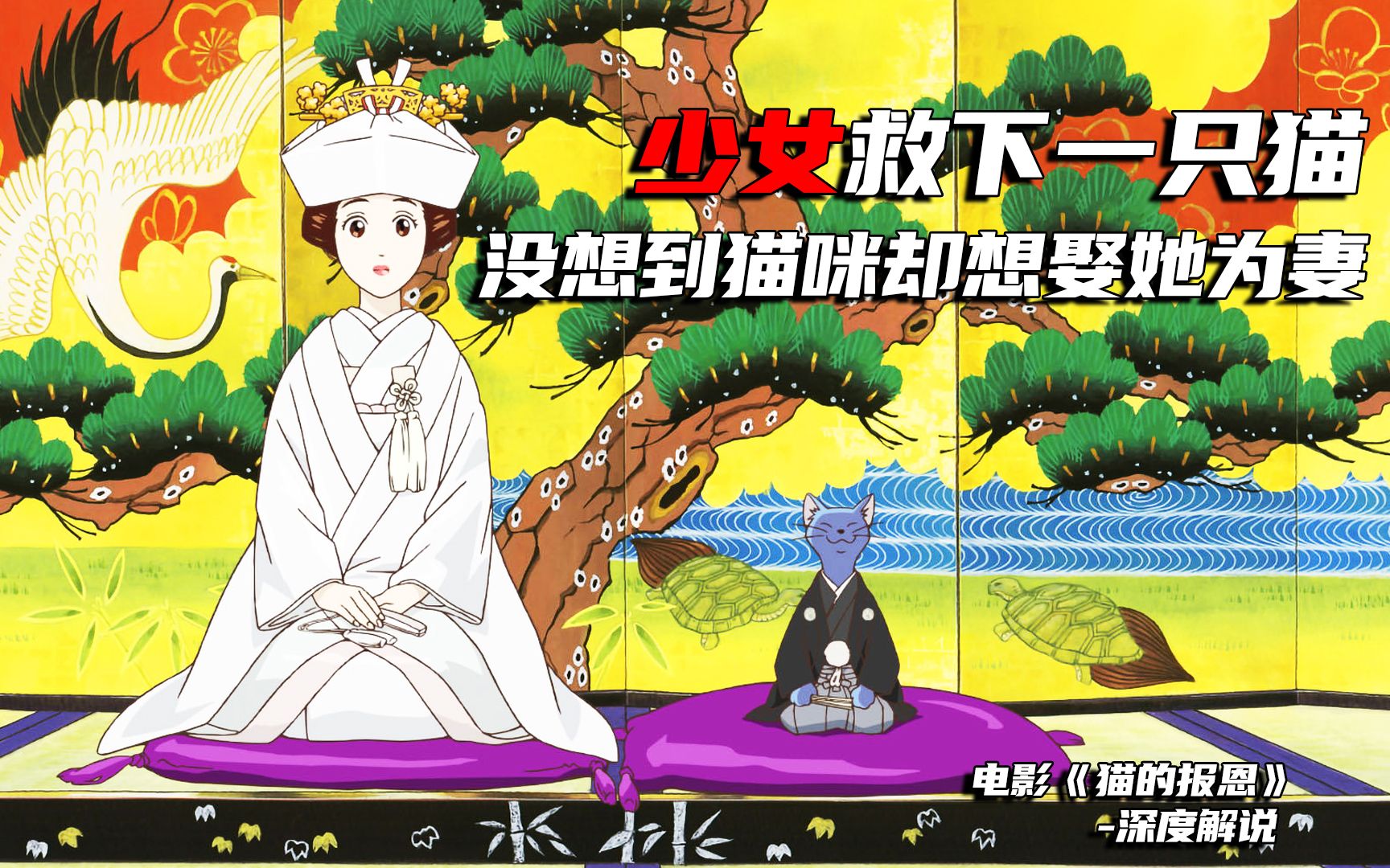 少女救下一只猫，没想到猫咪为报恩，竟想娶她为妻