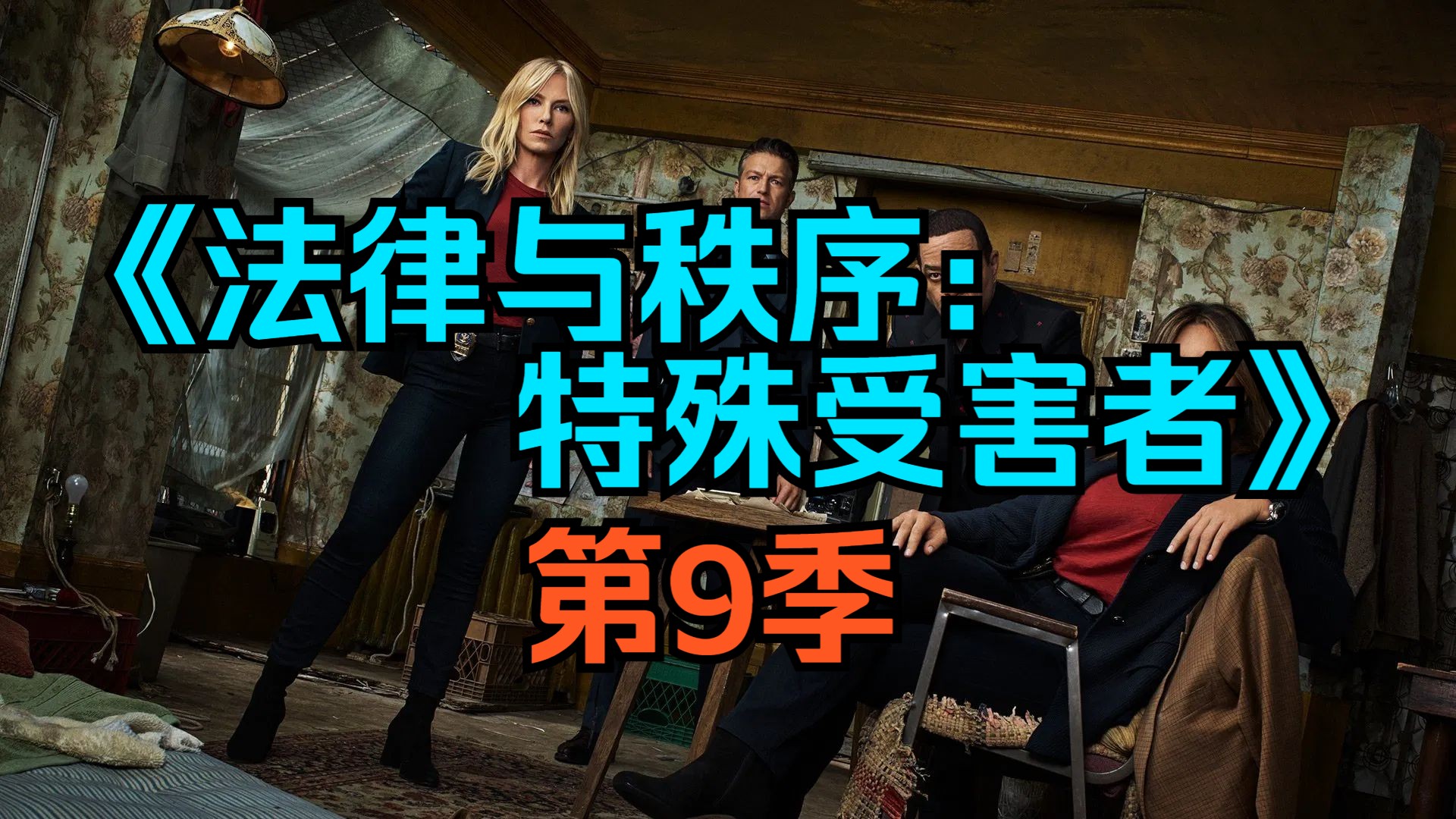 [电视剧] 美剧《法律与秩序：特殊受害者》第9季「共19集」