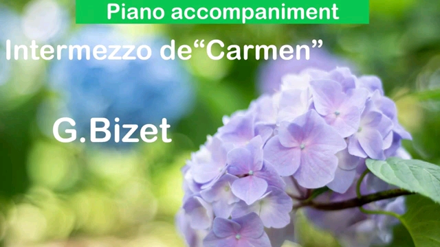 卡门间奏曲钢伴Carmen Interlude Piano Accompaniment