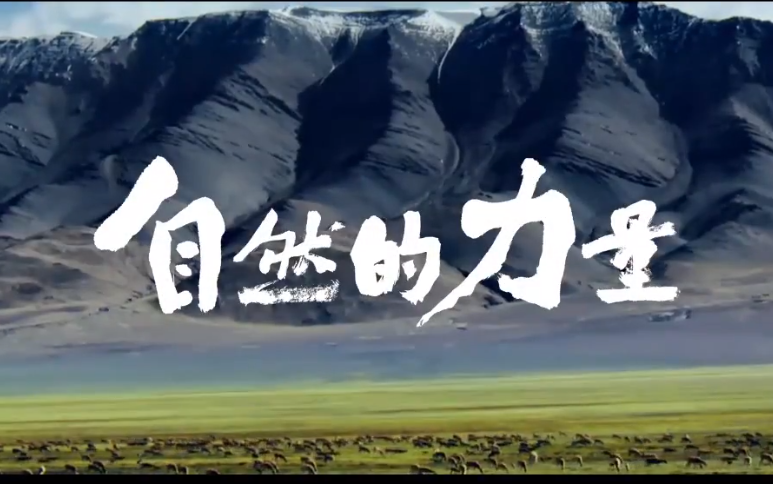 央视纪录片：《自然的力量》 全集  1080P