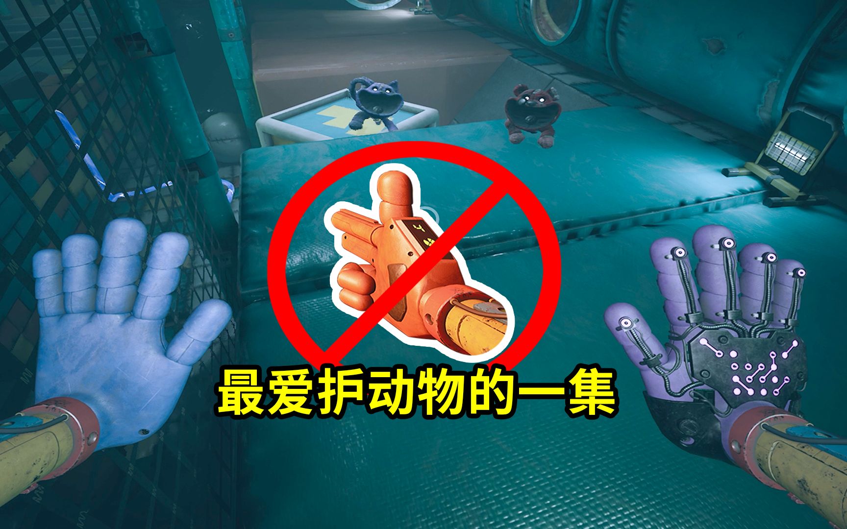 禁用信号枪通关游戏屋！最爱护小动物的一集