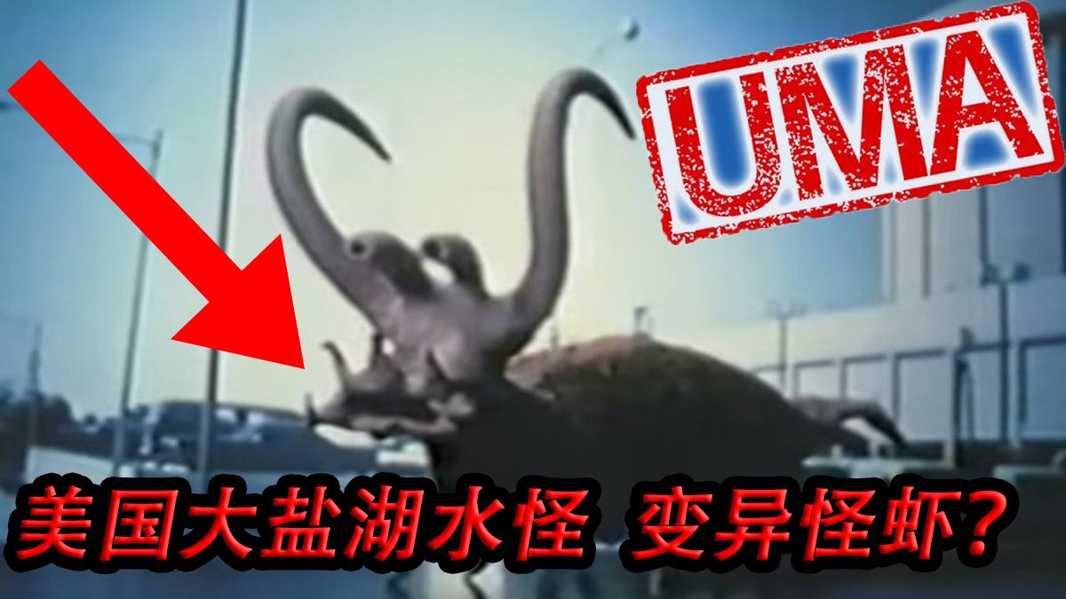 美国大盐湖水怪，是变异怪虾还是海豚怪物？美国大盐湖水怪(North Shore Monster)之谜