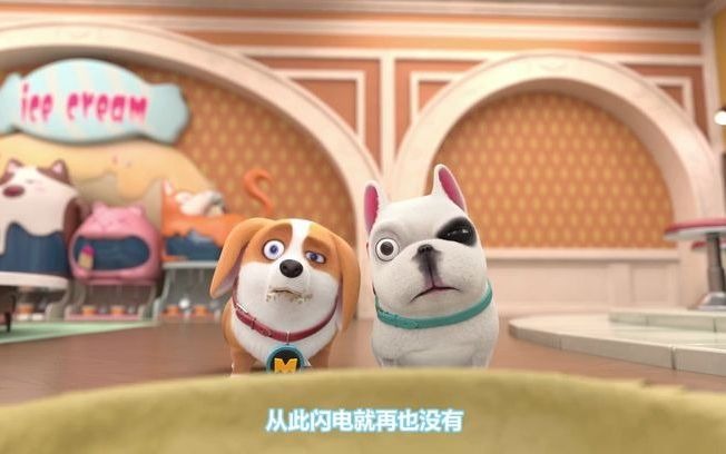 宠物店的小秘密第一集