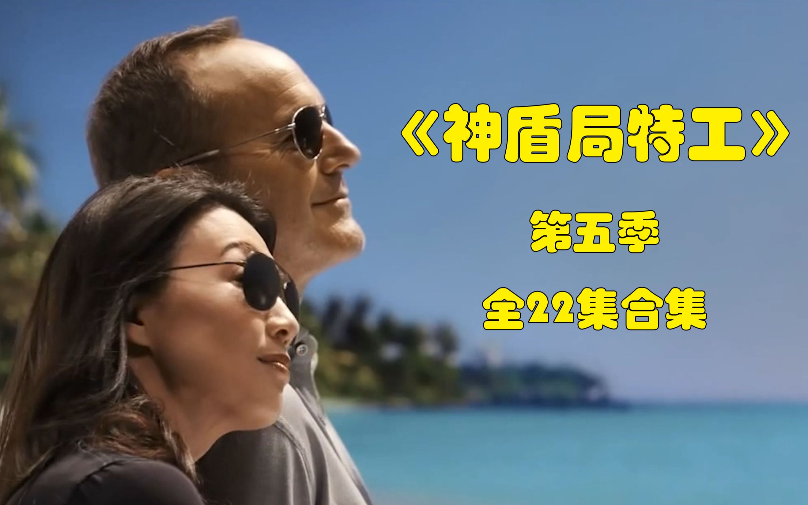 【阿呆】《神盾局特工》第五季全22集合集！