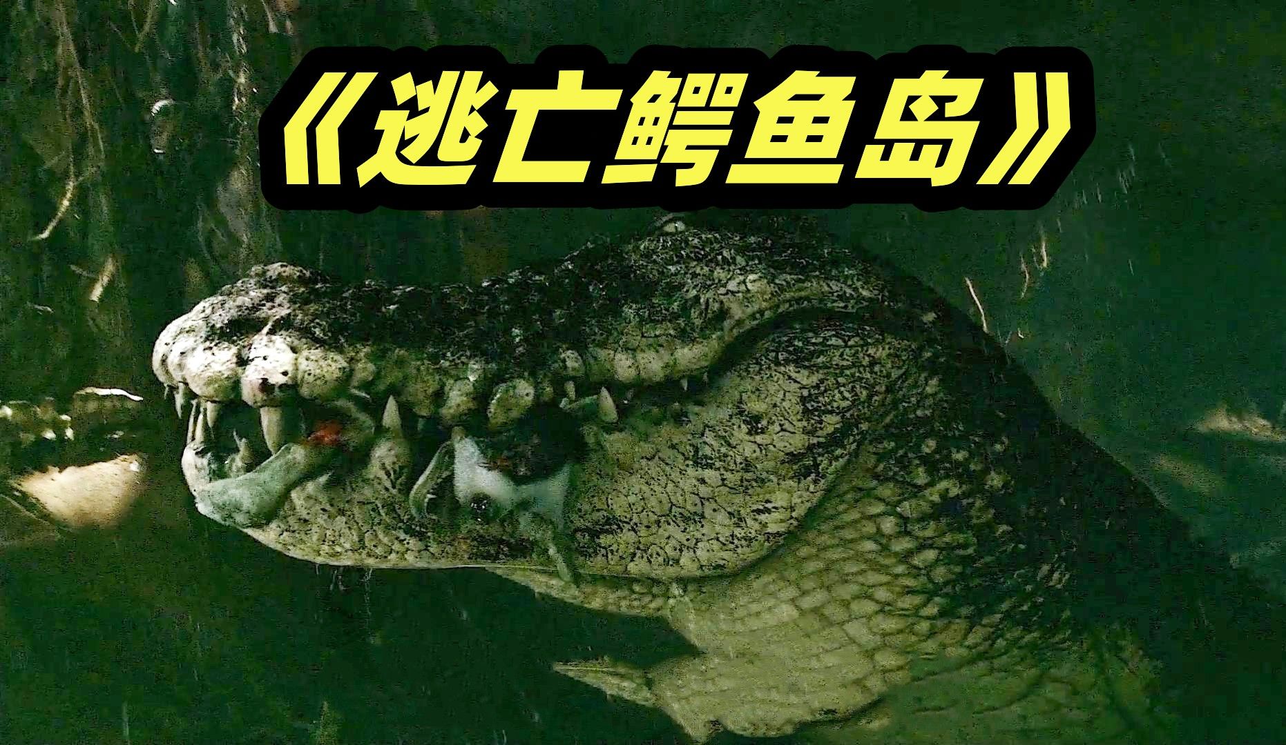 智商超高的大鳄鱼，会蹲点会装睡，更可怕的是死亡翻滚！恐怖片《逃亡鳄鱼岛》