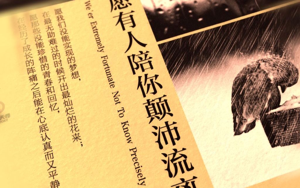 “为你读书”之《愿有人陪你颠沛流离》卢思浩（不更了）