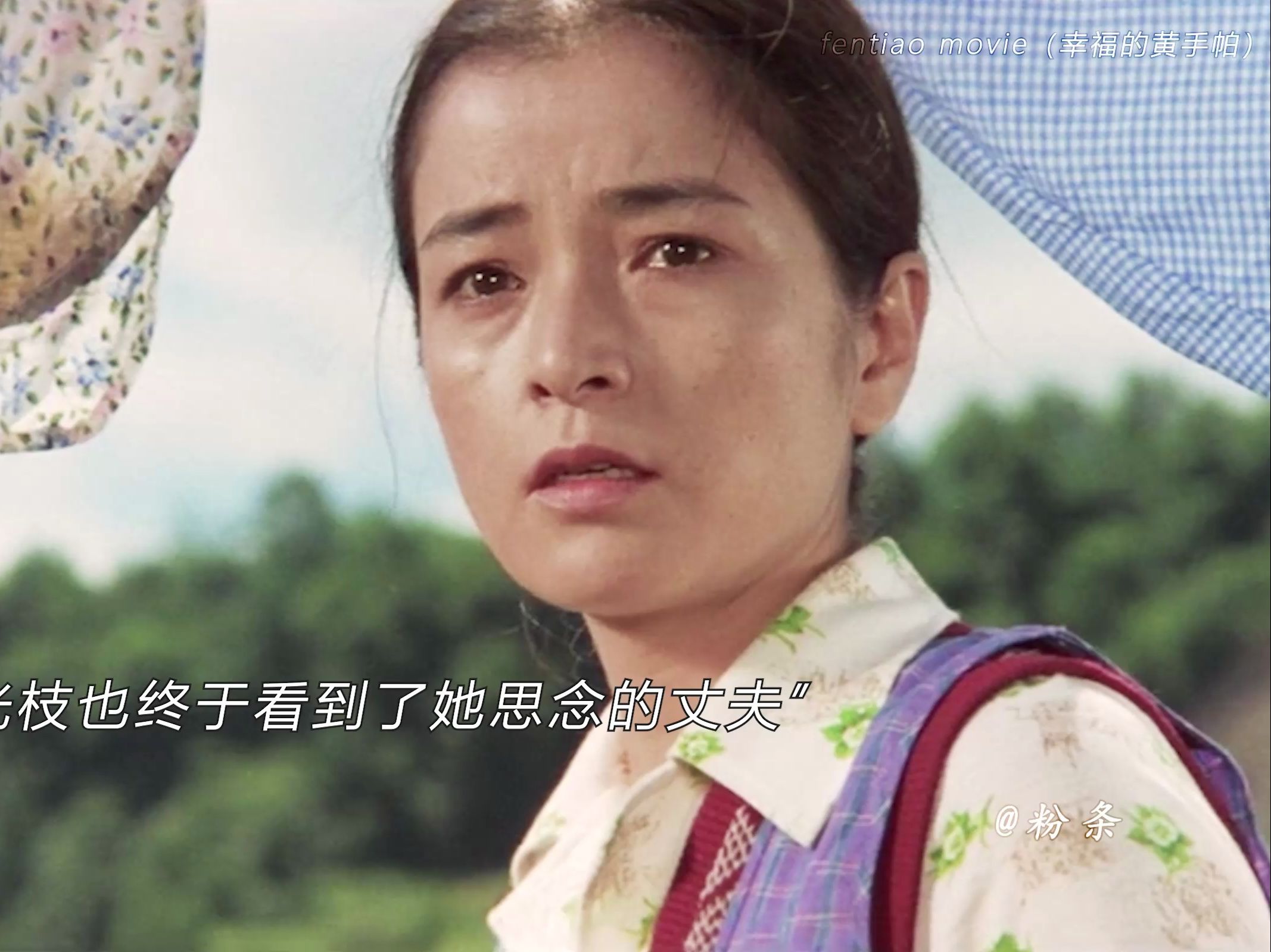 “你若还在那里 请挂起黄手帕”