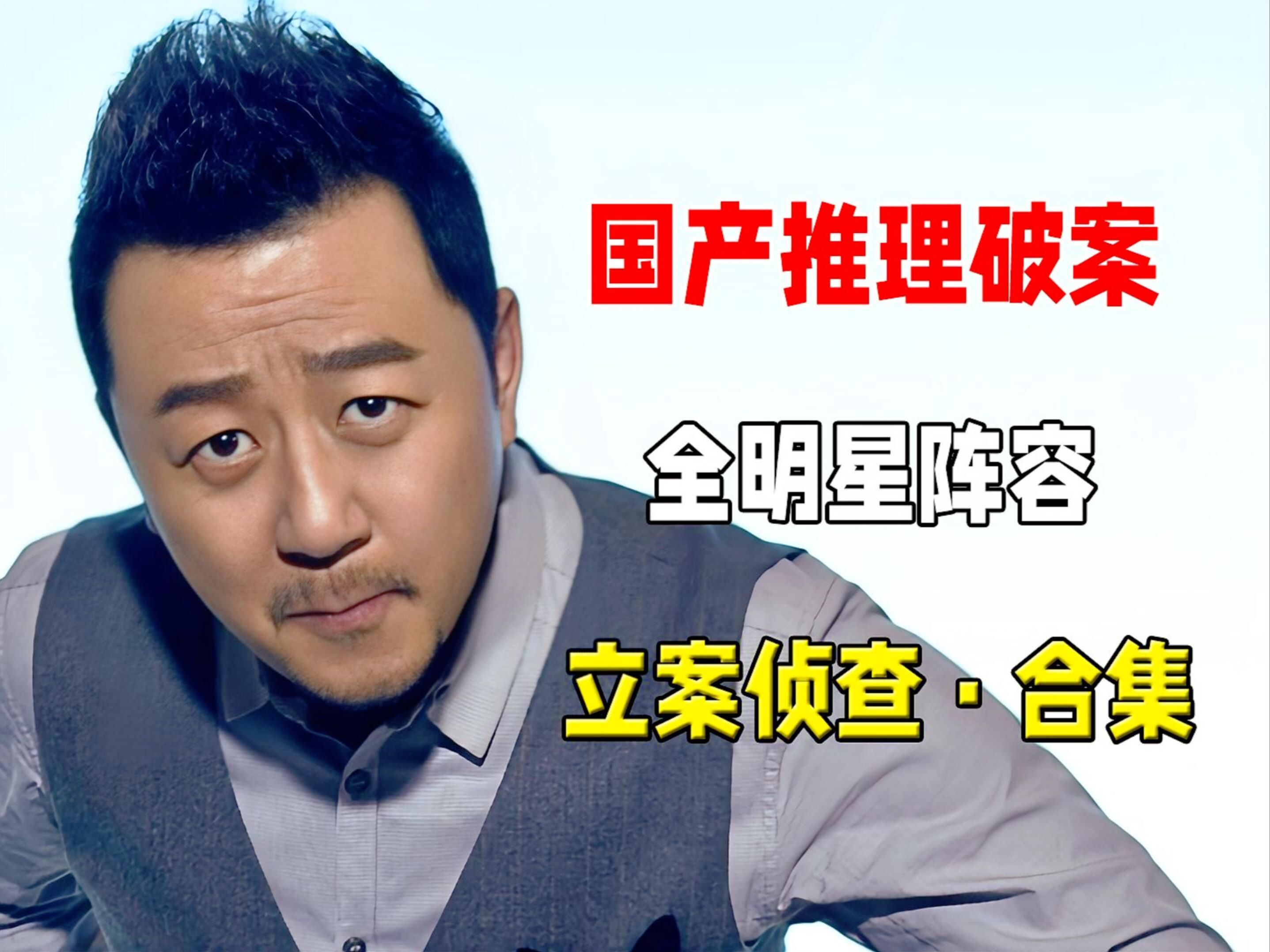 【合集】国产推理破案，全明星出演，宝藏好剧《立案侦查》